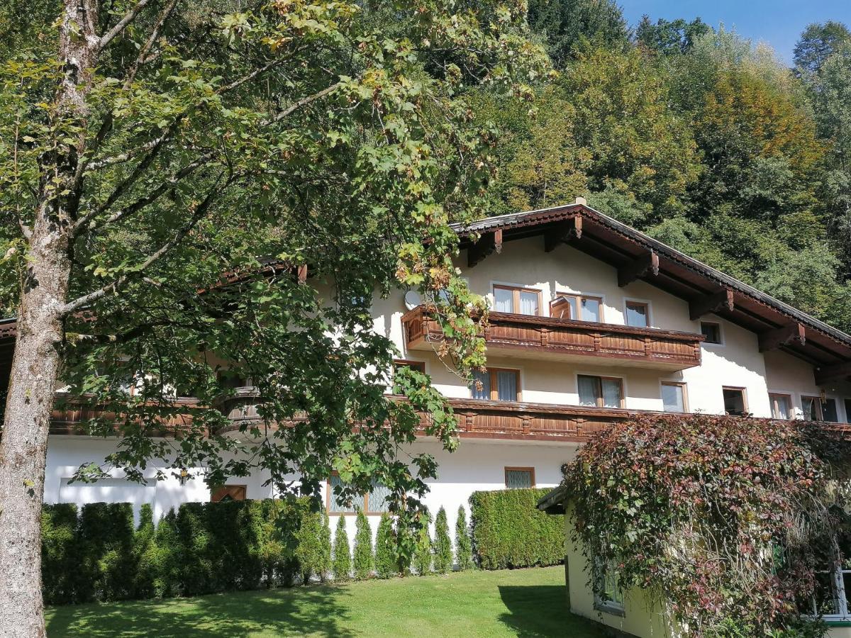 Pension Heilbad Burgwies Stuhlfelden Kültér fotó